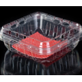 10 kg blueberry plastic blister box