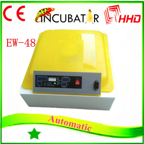 Transparent Automatic Egg Chair for Hatching Different Eggs Used Incubator for Hatching Eggs