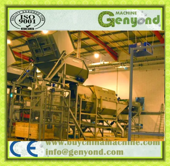 sweet potatos washing peeling machine