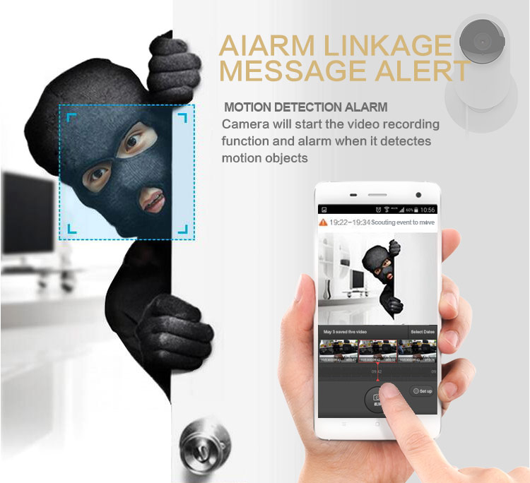 Alarm IP Camera