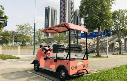 Our Adult Electric Mobility Scooters