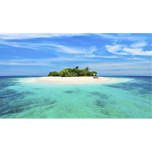 API sipal drll ongggd