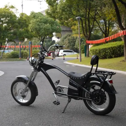 best 1000W electric bike Max speed of 55km/h