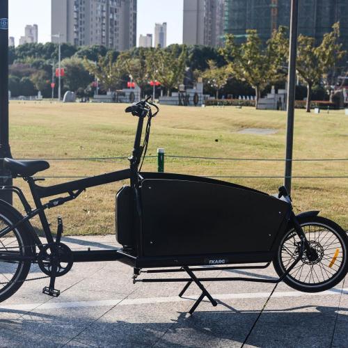 Cargo urbano Ebike Power Assisted Bicycle Smart Ecargo