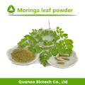 Pó de extrato de folha de Moringa oleifera para cuidados de saúde