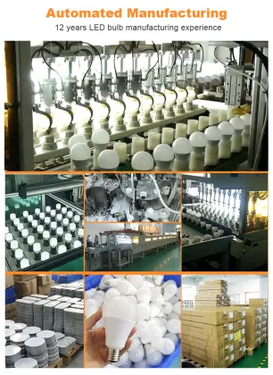 Anern Professional Rechargeable LED Emergency Light