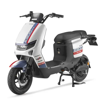 Custom Electric Bicycle and Scooter Batteries & Motors