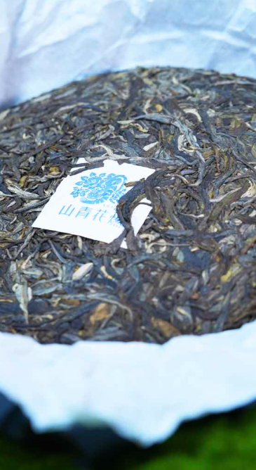 2026 Tong Da Collector’s Grade