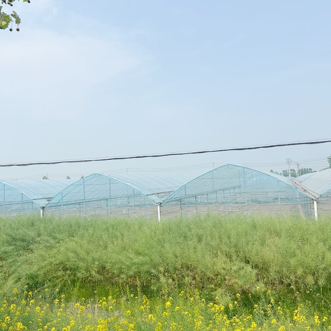 greenhouse film (14)