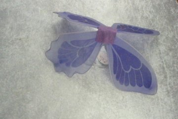 silk wings