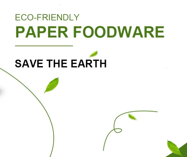 Do you know what are the characteristics of fake environmental protection lunch boxes?