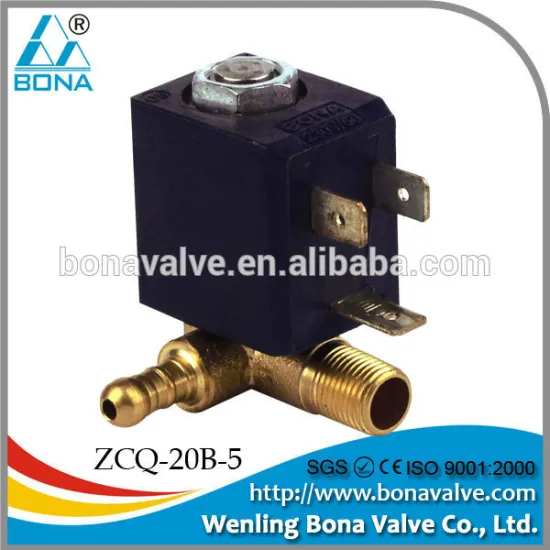 Steam Cleaner Solenoid Valve