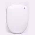 Watermark Smart Vagina Bidet Asiento de inodoro inteligente