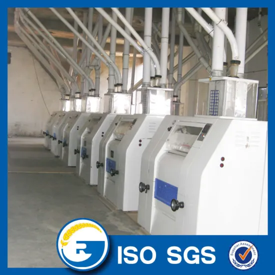 Maize flour production line