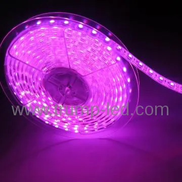 IP65 led flex tape 5050 rgb flex strip led