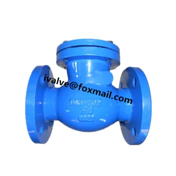 GG25 PN16 Swing Check Valve DIN F6