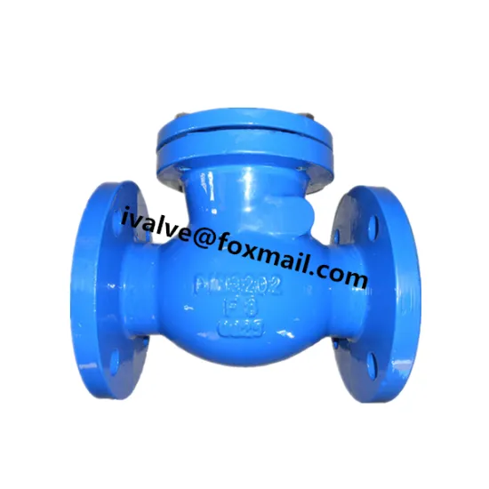 GG25 PN16 Swing Check Valve DIN F6