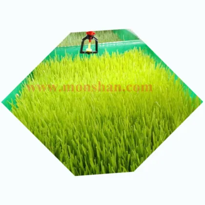 Solar-Powered Hydroponic Barley Fodder Growing System for Dairy Farms