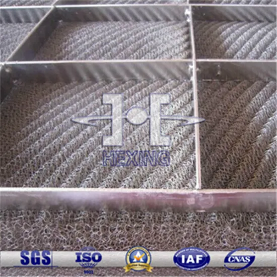 Wire Mesh Demister Pad With Grid
