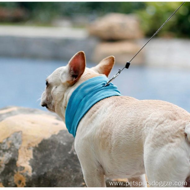 Dog Bandana Summer Triangle Scarf Puppy Cooling Headscarf