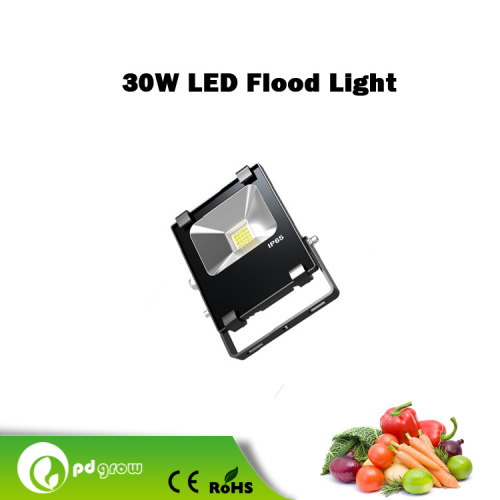 30W Outdoor Waterproof High Lumen LED Flood Light