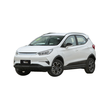 BYD Yuan Pro EV: 410km New Energy Vehicle Champion Edition 2023-2024