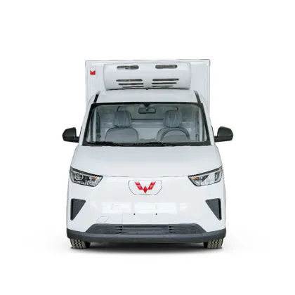 Wuling Yangguang photoelectric truck refrigerated truck