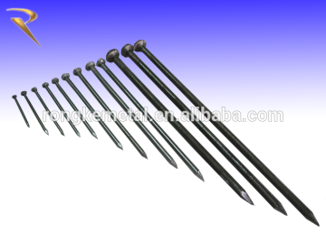 DIRECT FACTORY for common nail with high quality