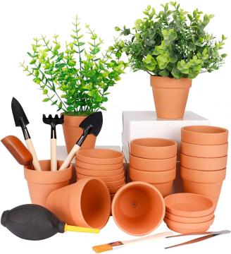 3 pollici piccoli vasi di terracotta con piattino
