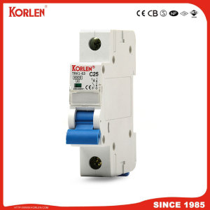 DZ47 TYPE circuit breaker silver contact 6KA capacity