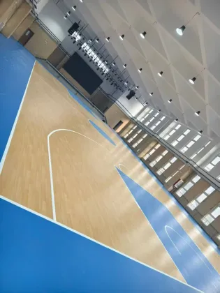 Customized color sports floor for basketball court