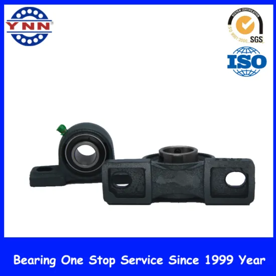 Most Popular and High Professional Pillow Block Bearing (UCP 207)
