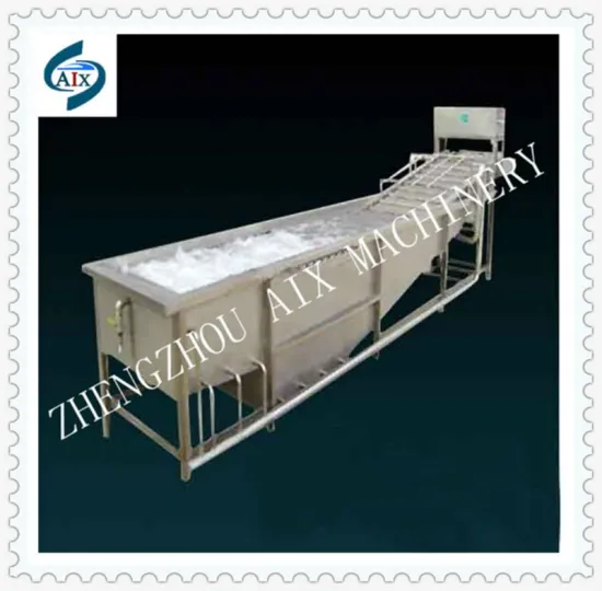 Vegetable & Fruit Washing Machine 2012