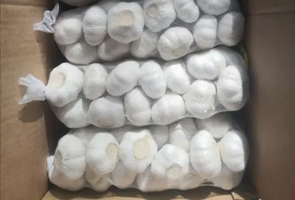 2020 Snow White Fresh Garlic