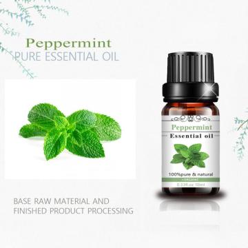 Factory Extraction Best Price 100% Pure Peppermint Oils