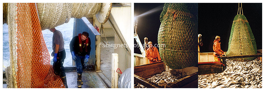 mid water trawl nets