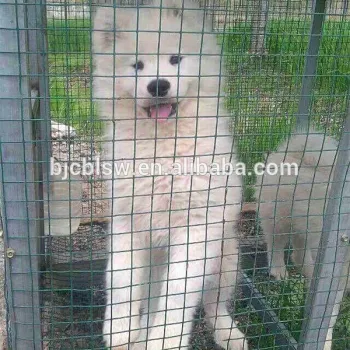 Cheap Holland pvc fence netting for dog