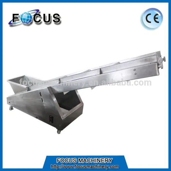 exit conveyor for packaged products