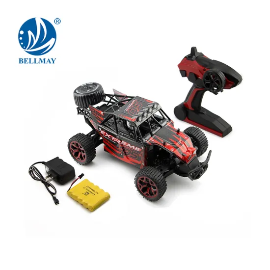 Hot Selling1:18 2.4GHz RC Car High Power Driving with Radio System Bring More Fun