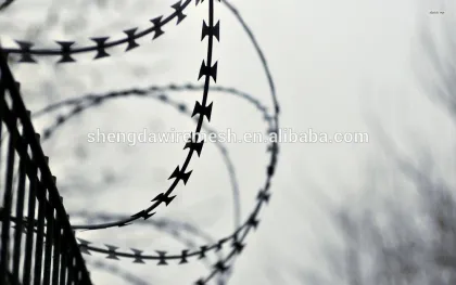 Shengda Razor barbed wire for safety (real factory)
