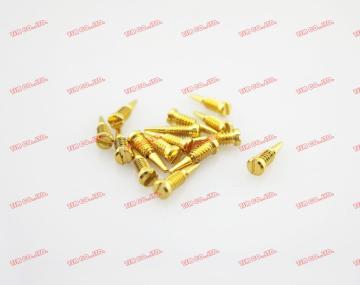 Auto in acciaio inox oro allineare vite