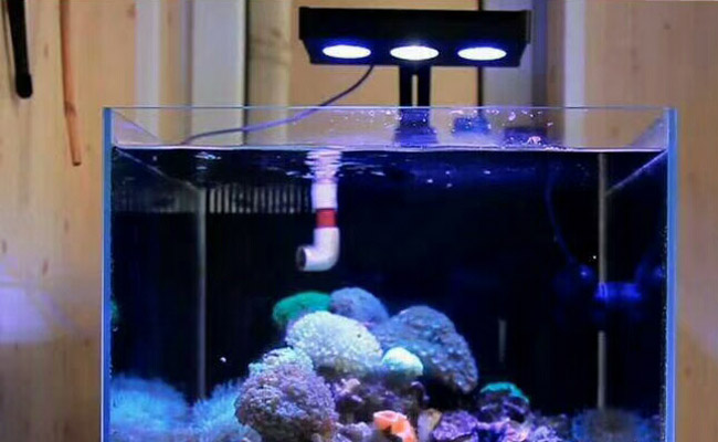 LED Aquarium Light for Aquarium Tank