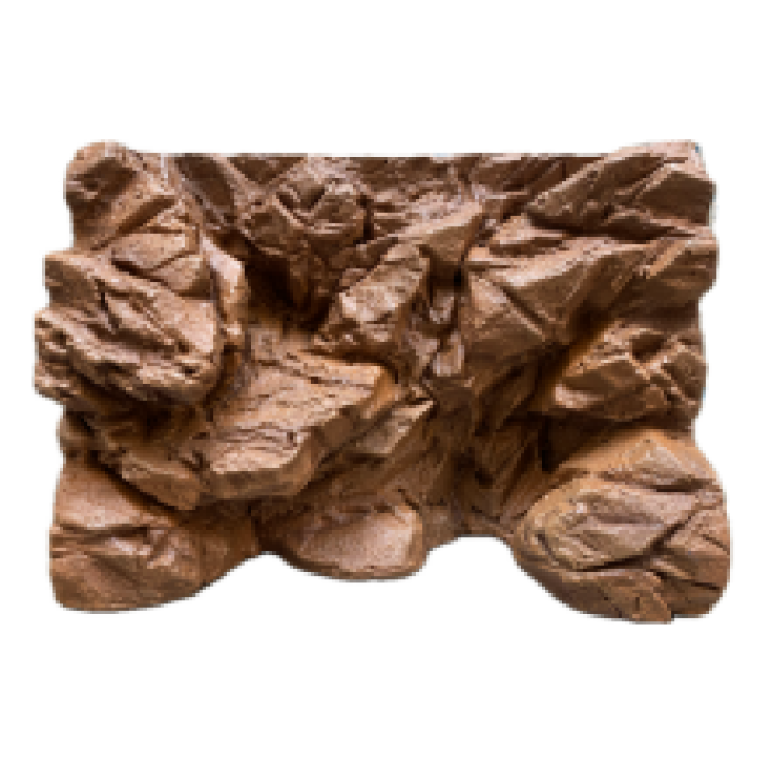 Versión de decoración del terrario del dragón barbudo