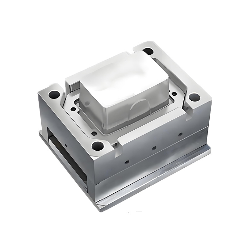 Shell Plastic Injection Mold
