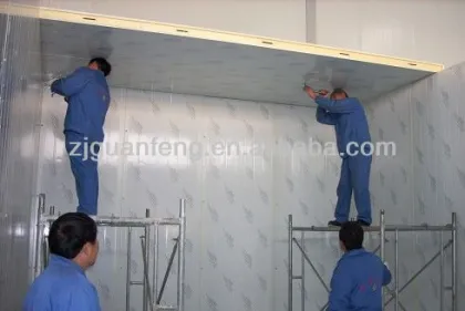 Commercial Blast Freezer Food Storage Cold Room Price