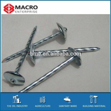 Umbrella galvanized twist shank roofing nails