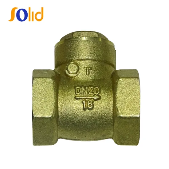 Non-return Brass Swing Type Check Valve