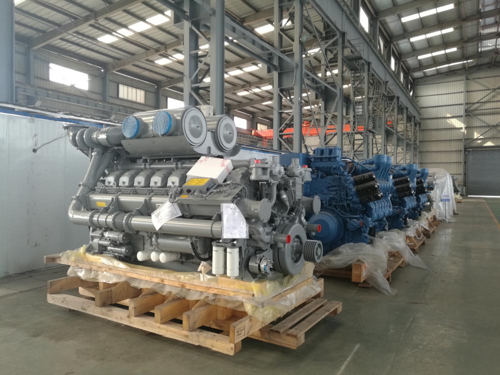 D 1 Diesel Generating Set