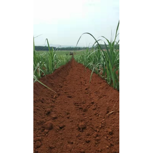 Sugarcane Cultivator Bästsäljande Weeding Machine