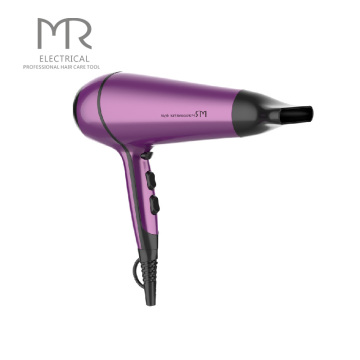 High Power Hair Dryer And Straightener 2200W